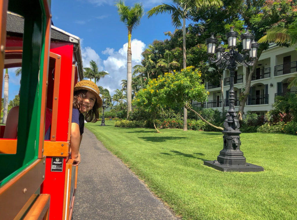 Happy boy looking out side of train ride at Beaches Turks and Caicos