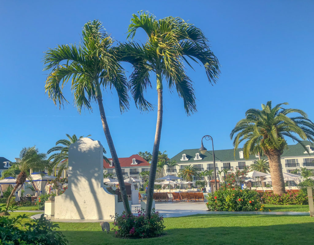 Morning view of palm trees and pool in the French Village when having coffee. Grounds of the French Village outside our room. #beachesresorts #beachesturksandcaicos #beachesresorts #turksandcaicos #allinclusiveturksandcaicos #pls #providenciales #beachesmoms #beachvacations #allinclusivebeachvacations #familyallinclusive #bestallinclusive #familytravelblogger #bestfamilytravleblogger #femaletravelblogger #torontomom