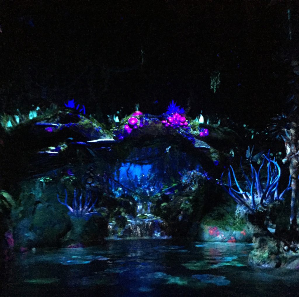 From One Of My Best Days At Walt Disney World Resort EVER! Visiting Pandora in Animal Kingdom Park #bestdayever #WDWresorts #waltdisneyworld #disneyparks #disneymom #mediaevent #pongupongu #pandora #worldofavatar