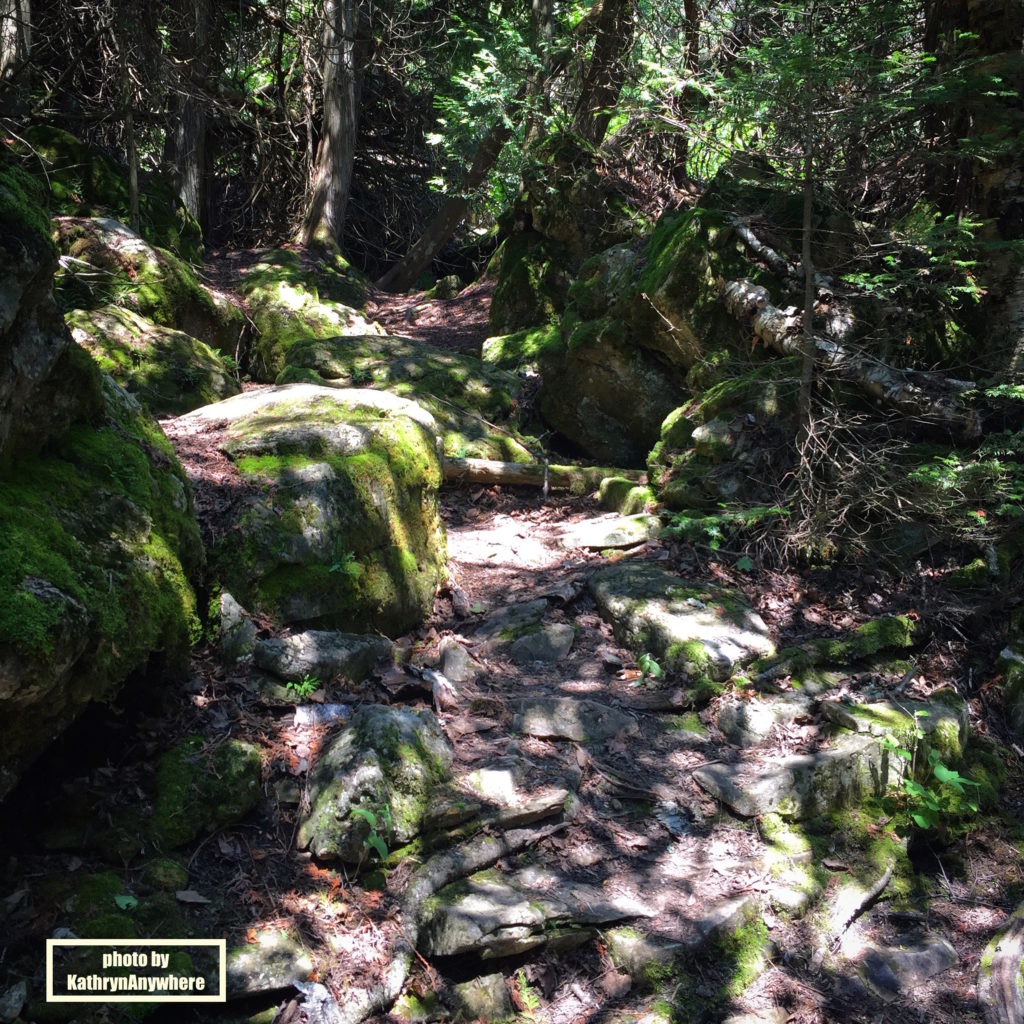 Flowerpot Island 2 - Top 5 Things To Do In Tobermory, Ontario #topfivelist #tobermory #singingsandsbeach #provincialpark #brucepeninsula #flowerpotisland #thegrotto #brucepeninsulagrotto #parkscanada #smalltownsinontario #familytravelvlogger #familytravelblogger #ontariobloggers #ontarioroadtrips #thingstodoinontario #thingstodointobermory