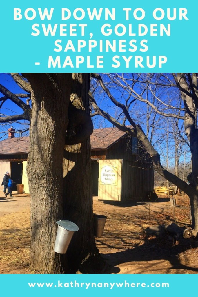 If I had to go with a symbol or product that defines Canada… I’d go with #MapleSyrup #maplesugar #puremaplesyrup #organicmaplesyrup #ontarioparks #brontecreek #southernontario #maplesyrupcandy #sweetgoldensap #maplesyruptree #puremaple #puresyrup