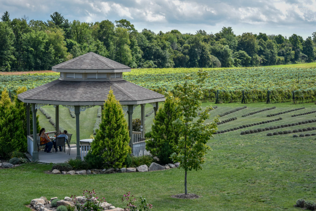 wide shot of lavender farm from aboce
