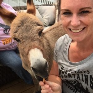 tiny tim the mini donkey