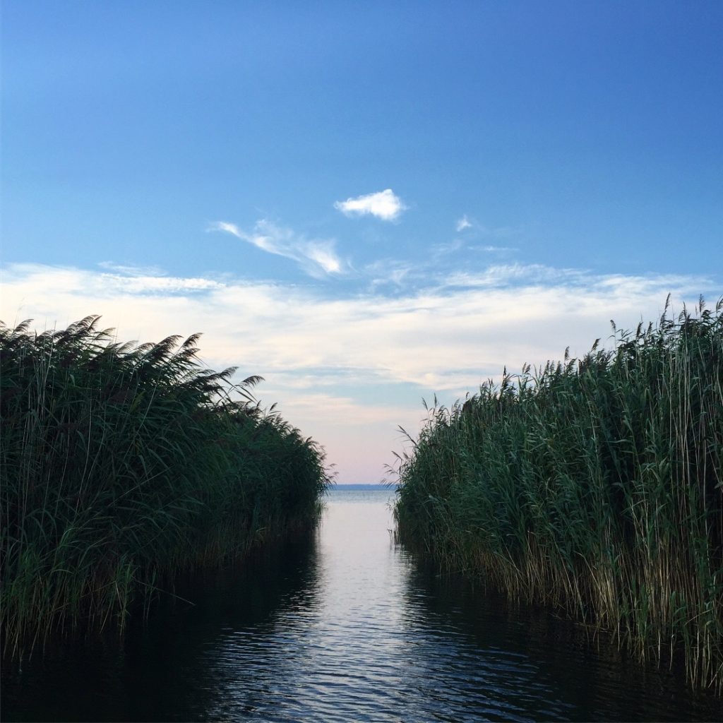 Long point sunset cruise wetlands