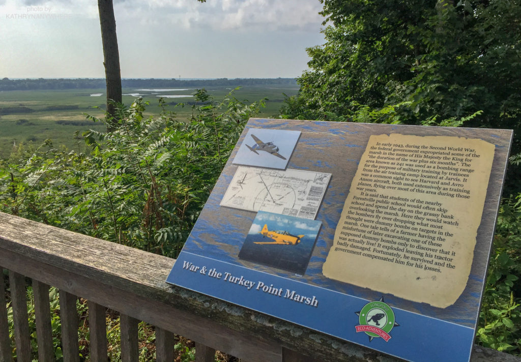 Luxury Family Glamping Ontario, overlook view