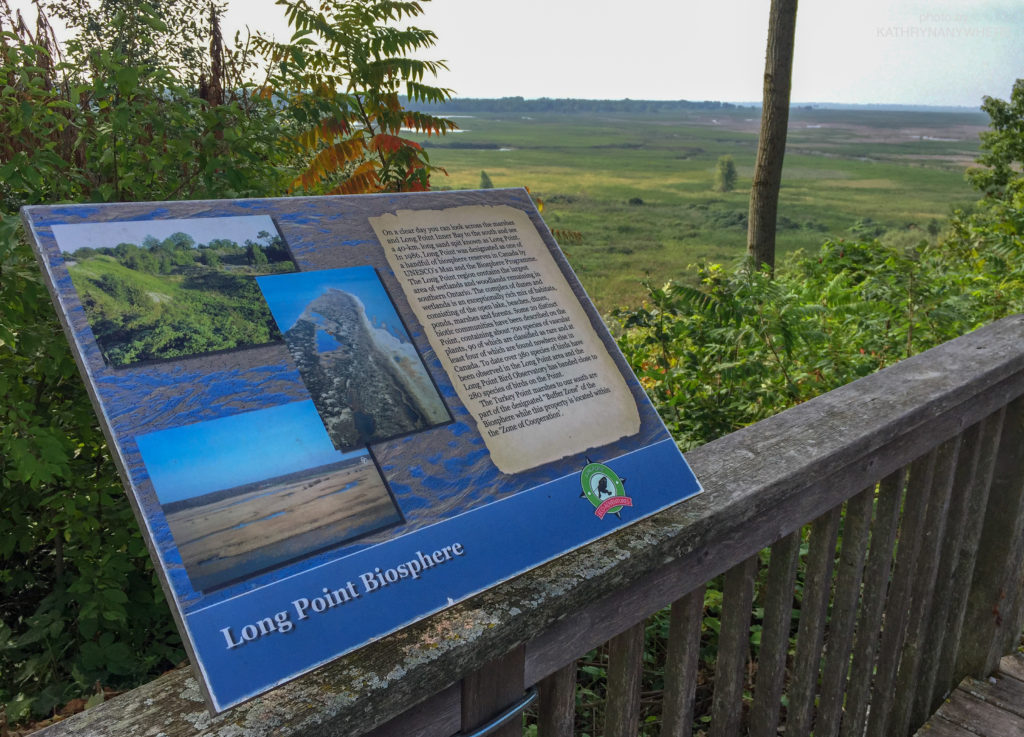 Luxury Family Glamping Ontario, overlook view