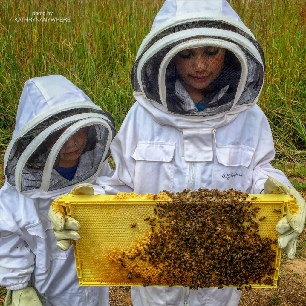kid holding a honeycomb