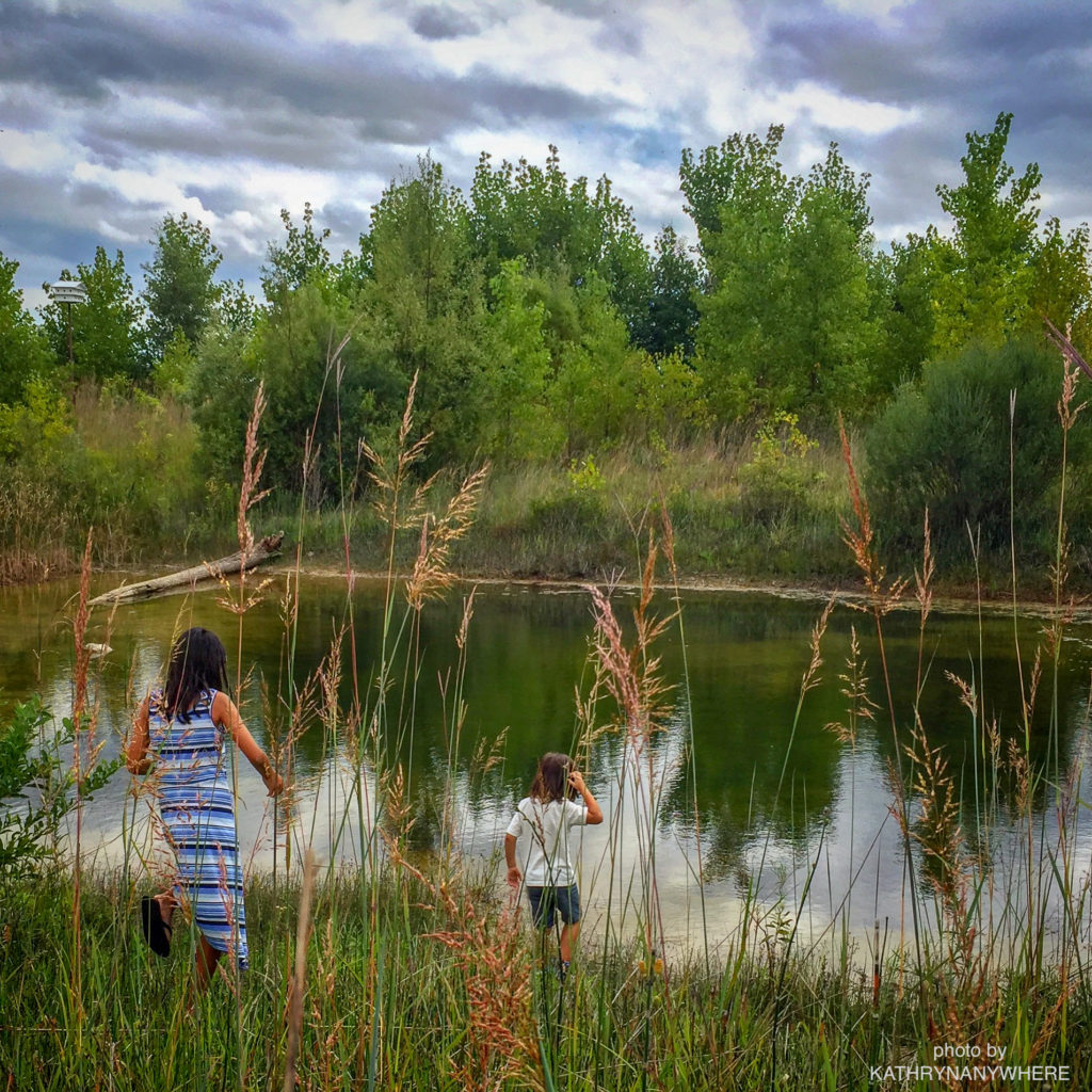 Toronto kids looking for frogs in wetland