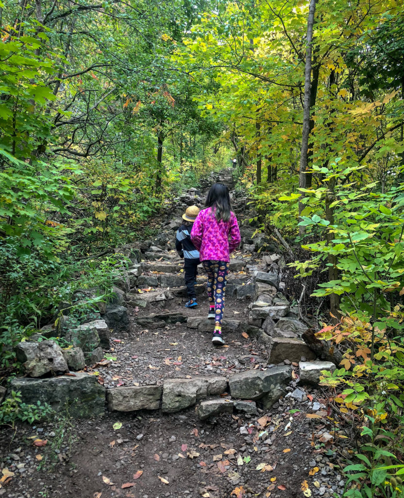 Epic Hikes With Kids - Dundas Peak and Tew's Falls Trail, Ontario #discoverON #exploremore #DUNDASPEAK #MANONT #DUNDASONTARIO #TEWSFALLS #getoutside #liveoutdoors #ontarioparks #welivetoexplore #familytravelblogger #hikingwithkids #kidswhohike #hikingmom