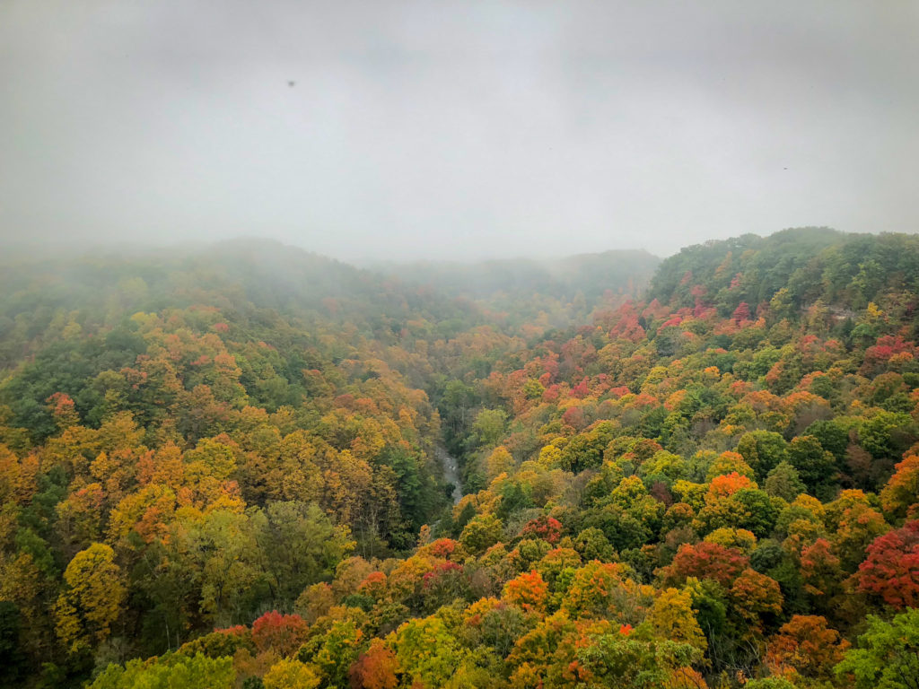 Epic Hikes With Kids - Dundas Peak and Tew's Falls Trail, Ontario #discoverON #exploremore #DUNDASPEAK #MANONT #DUNDASONTARIO #TEWSFALLS #getoutside #liveoutdoors #ontarioparks #welivetoexplore #familytravelblogger #hikingwithkids #kidswhohike #hikingmom