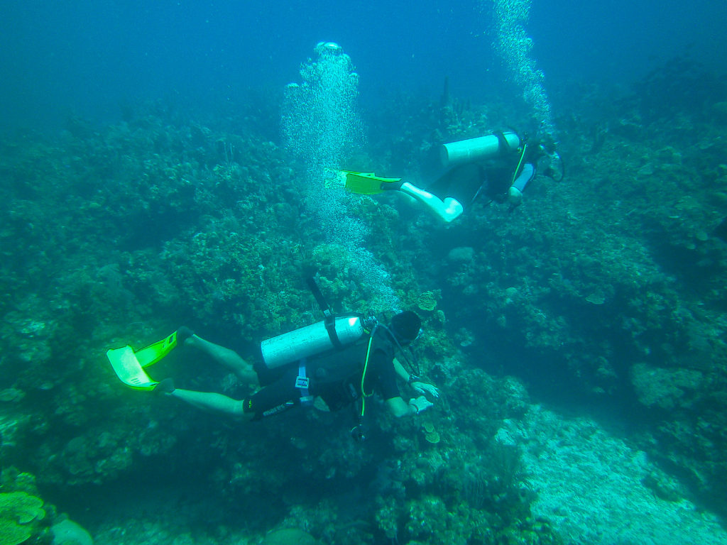 Photo by Mike Pelosi - Scuba Diving in Roatan, Honduras, April 2012 #diving #Scuba #dive #Sea #snorkeling #scubadive #SNUBA #snubalife #whyyoushouldtrysnuba #bayislands #roatanhonduras #kathrynanywhere #solomomtravels