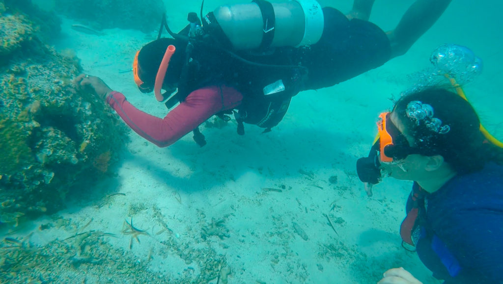 Top 5 Reasons to try SNUBA #diving #Scuba #dive #Sea #snorkeling #scubadive #SNUBA #snubalife #trysnuba #whyyoushouldtrysnuba #BeachesMoms #top5reasons #beachesturksandcaicos #sarapittard