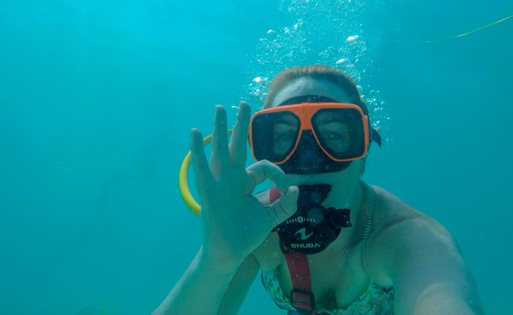 Top 5 Reasons to try SNUBA #diving #Scuba #dive #Sea #snorkeling #scubadive #SNUBA #snubalife #trysnuba #whyyoushouldtrysnuba #BeachesMoms #top5reasons #beachesturksandcaicos