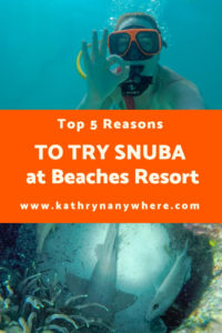 Top 5 Reasons to try SNUBA #diving #Scuba #dive #snorkeling #scubadive #SNUBA #snubalife #trysnuba #whyyoushouldtrysnuba #BeachesMoms #top5reasons #beachesturksandcaicos #underthesea #marinelife #littlemermaid
