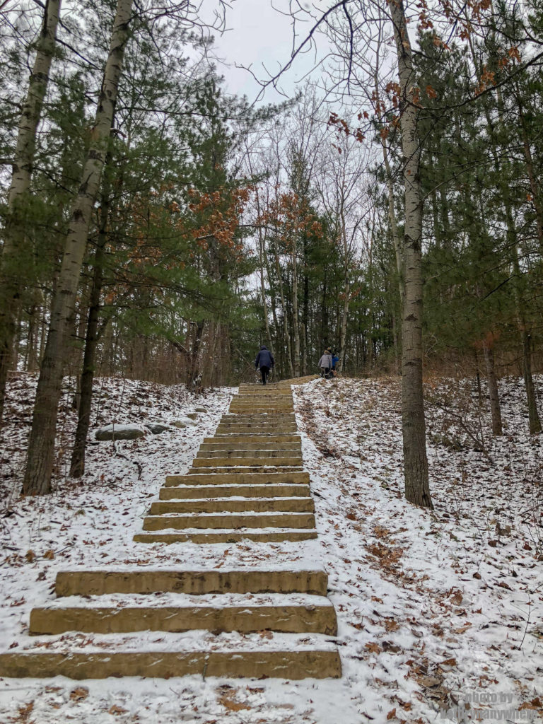 First set of stairs on the Sager Conservation Area Trail hike #sagerconservationarea #womenwhohike #wanderlust #getoutstayout #letsgosomewhere #exploretocreate #adventurelife #theoutbound #thosewhostray #traveldeeper #sheisnotlost #neverstopexploring #exploreclub #conservationarea #sagerconservation #yourstodiscover #discoverON