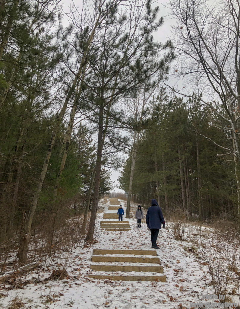 Second set of stairs on the Sager Conservation Area Trail hike #sagerconservationarea #womenwhohike #wanderlust #getoutstayout #letsgosomewhere #exploretocreate #kidswhohike #theoutbound #thosewhostray #traveldeeper #sheisnotlost #neverstopexploring #exploreclub #conservationarea #sagerconservation #yourstodiscover #discoverON #kidswhoexplore