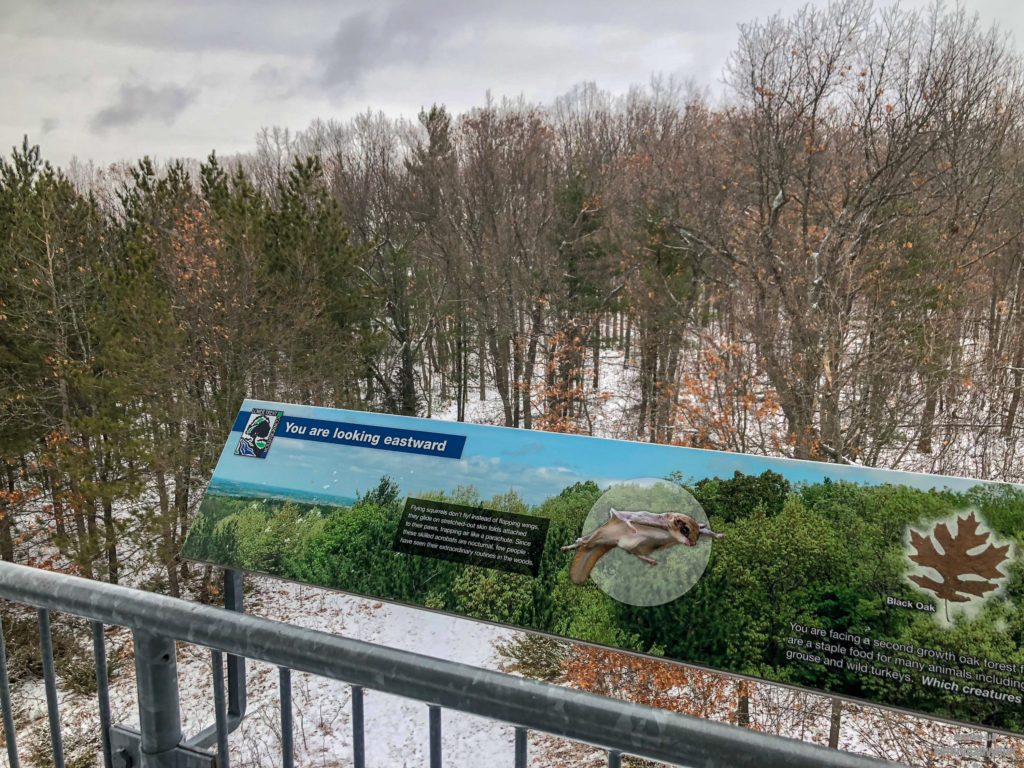 Facing East 1 on the Observation Tower at Sager Conservation Area Trail hike #sagerconservationarea #womenwhohike #wanderlust #getoutstayout #letsgosomewhere #exploretocreate #kidswhohike #theoutbound #thosewhostray #traveldeeper #observationtower #neverstopexploring #exploreclub #conservationarea #sagerconservation #yourstodiscover #discoverON #kidswhoexplore