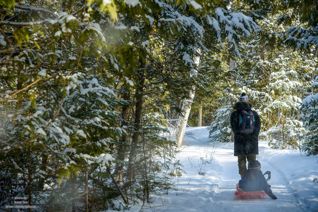 PHOTO BY BRIAN TAO, LUXOGRAPHY 2019 20 Photos That Will Inspire You To Snowshoe at MacGregor Point Provincial Park #FindYourSelfHere #OntarioParks #YoursToDiscover #DiscoverOntario #DiscoverON #Snowshoe #MacGregorPoint #ProvincialPark #MacGregorProvincialPark