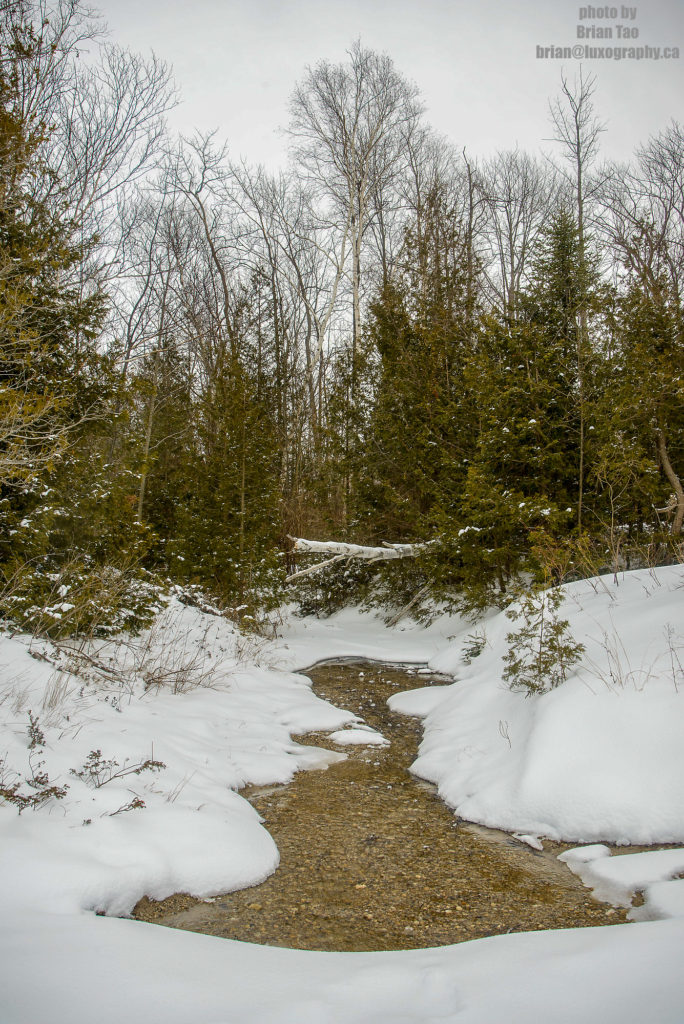 20 Photos That Will Inspire You To Snowshoe at MacGregor Point Provincial Park #FindYourSelfHere #OntarioParks #YoursToDiscover #DiscoverOntario #DiscoverON #Snowshoe #MacGregorPoint #ProvincialPark #MacGregorProvincialPark