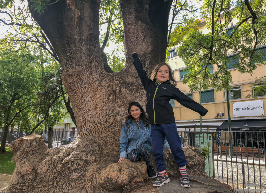 We ended up at the Jardim Nuno Alvares, directly south of City Lofts Guesthouse. It’s a great place for children to run around and blow off steam. We would end up there again before our departure.