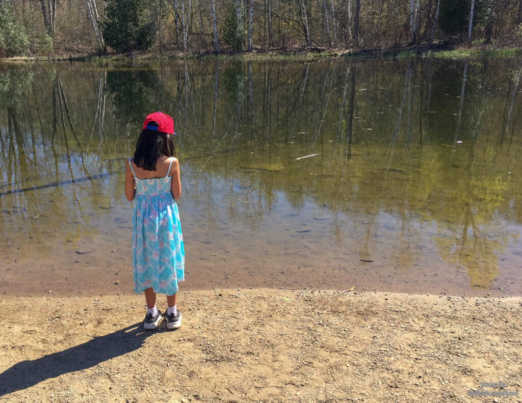 pond at mono cliffs provincial park