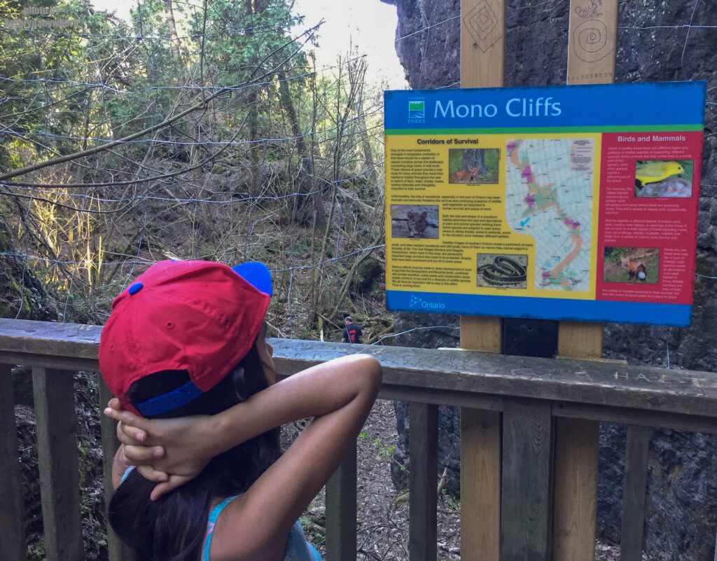 In the cavern area of mono cliffs provincial park