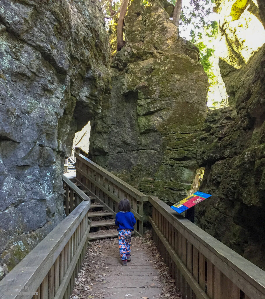 boardwalk at mono cliffs provincial park