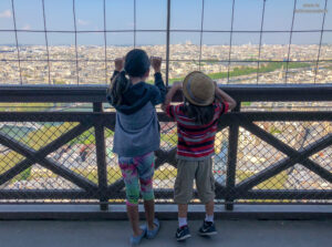 View of the 1st arrondissement in Paris from the Eiffel Tower
