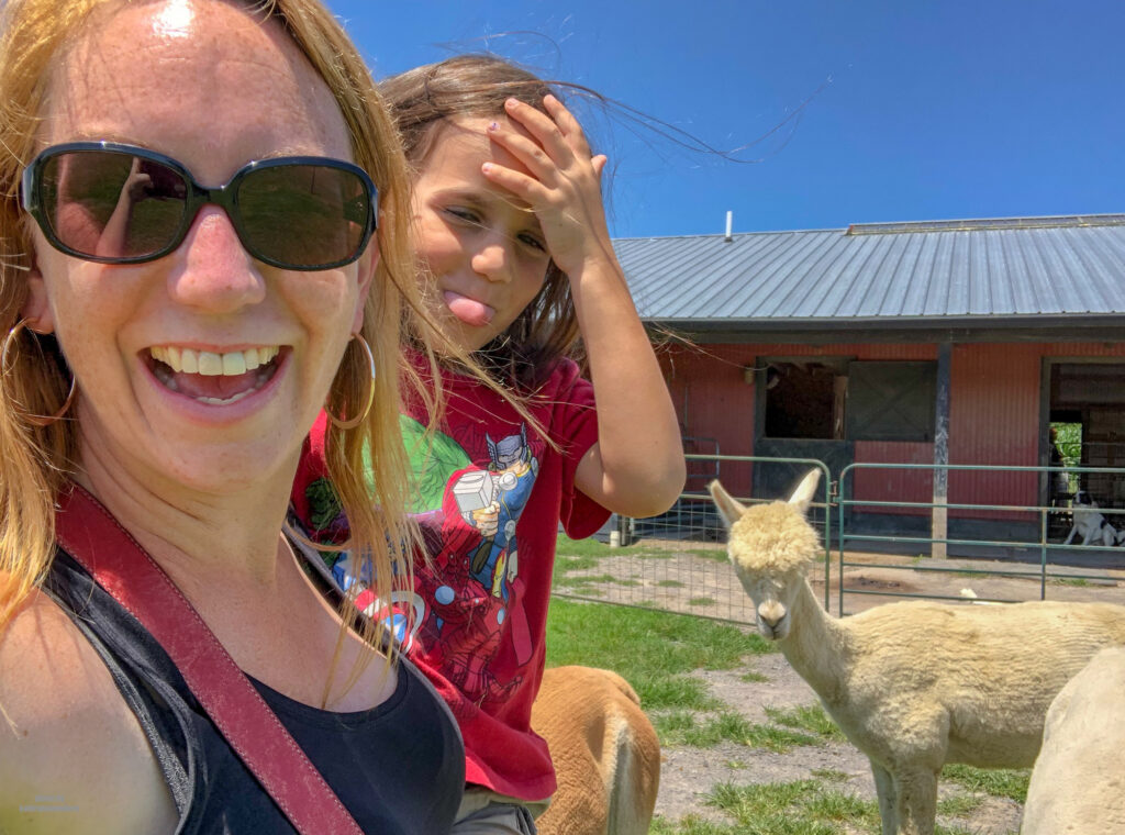 Little man and I enjoying our time with the Alpacas at WestPark alpaca farm in Slippery Rock, PA