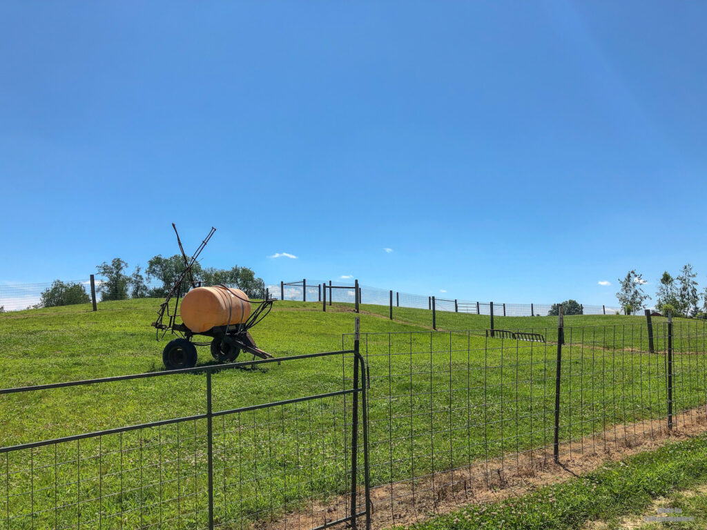 From WestPark Alpacas in Butler County PA