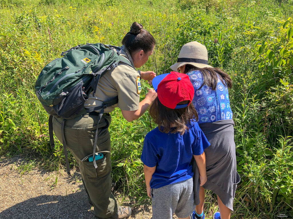 Brandi from Jennings Environmental Education Center in Butler County PA showing my kids a flower.