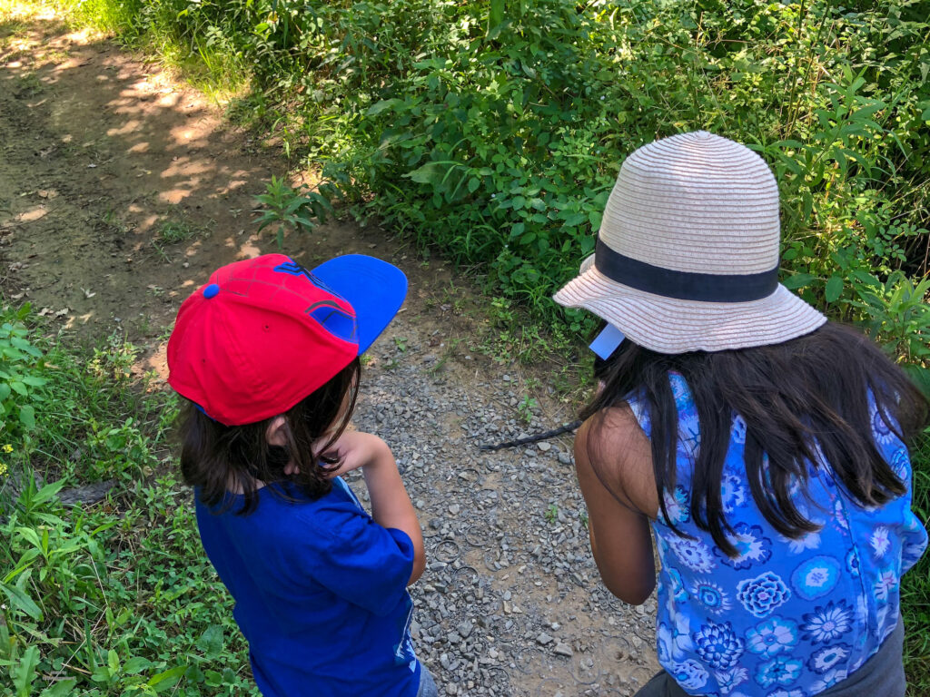 discovery of a snake at the Jennings Educational centre in Butler County on our Pennsylvania Road Trip