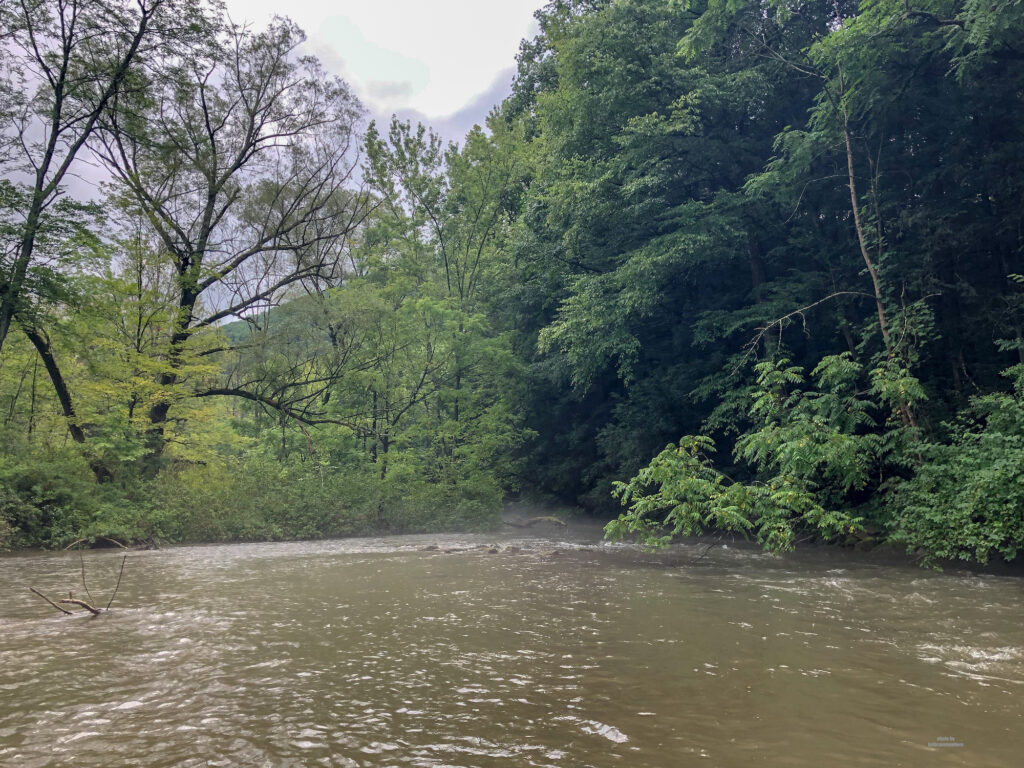 Early morning river view at Spruce Creek, PA
