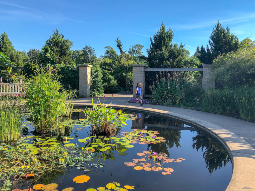 Gorgeous setting at the arboretum at Penn State
