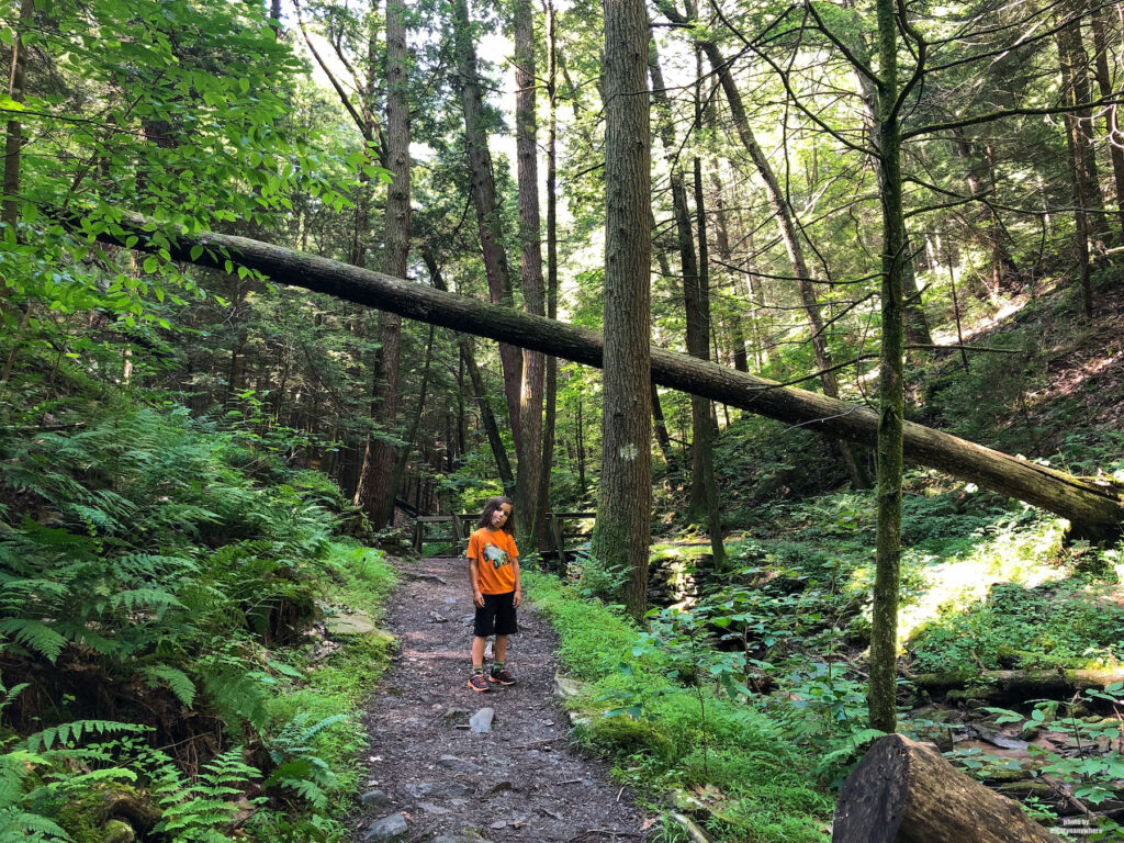 My son Hiking in state park, PA