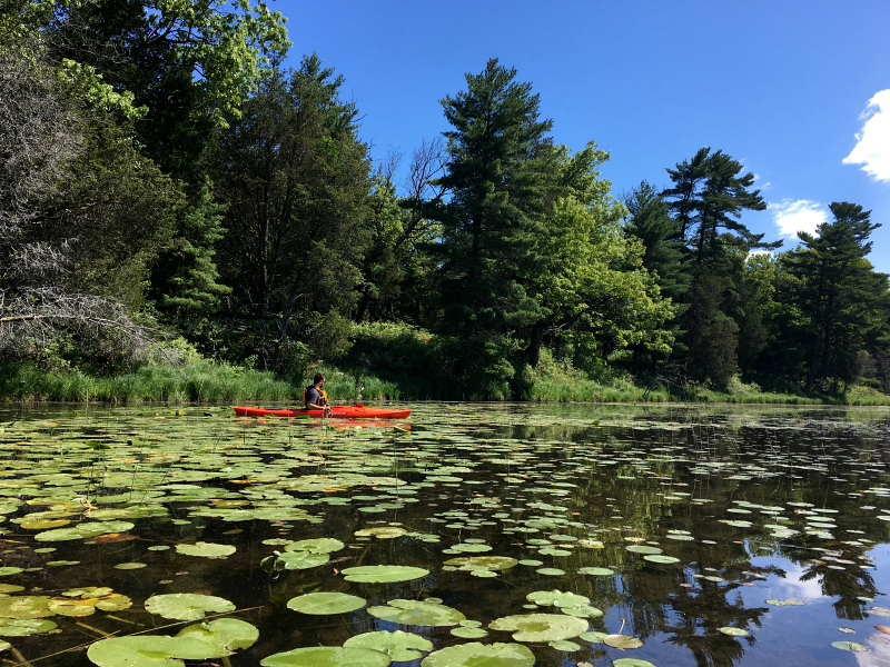Old Ausable River Channel - To & Fro