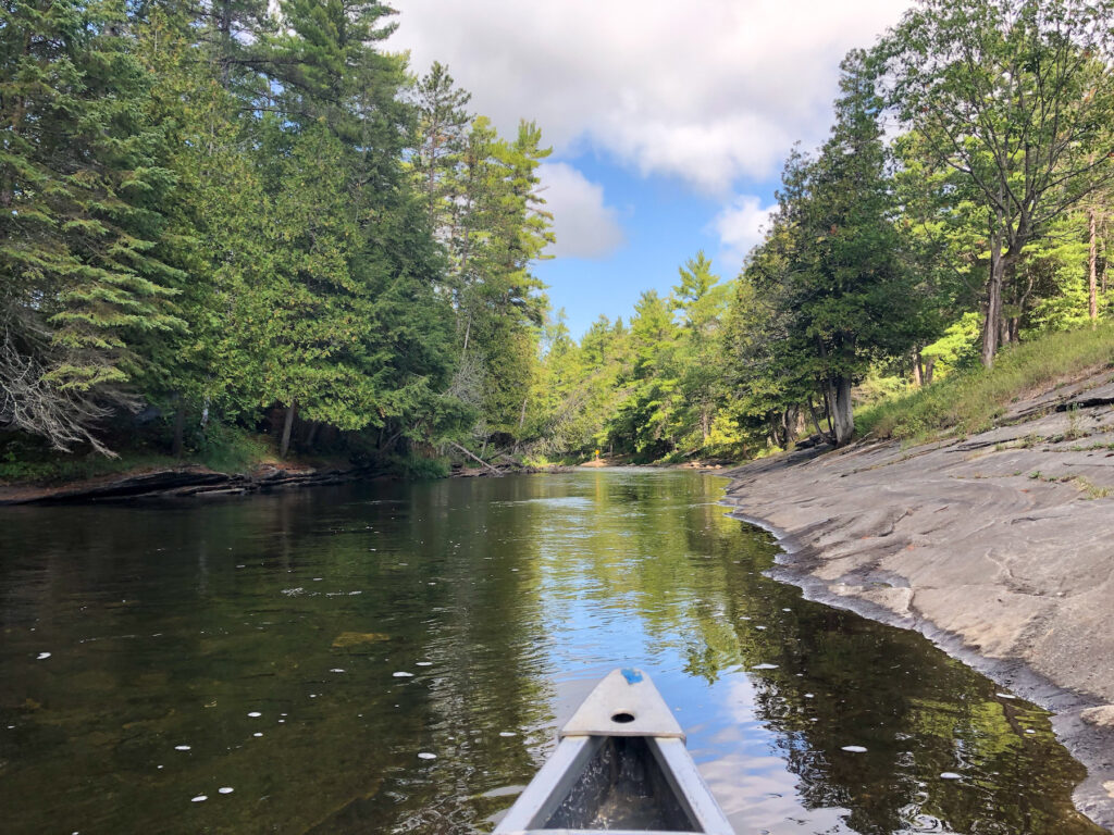 view from the front of the canoe in Eel's creek in the kawarthas