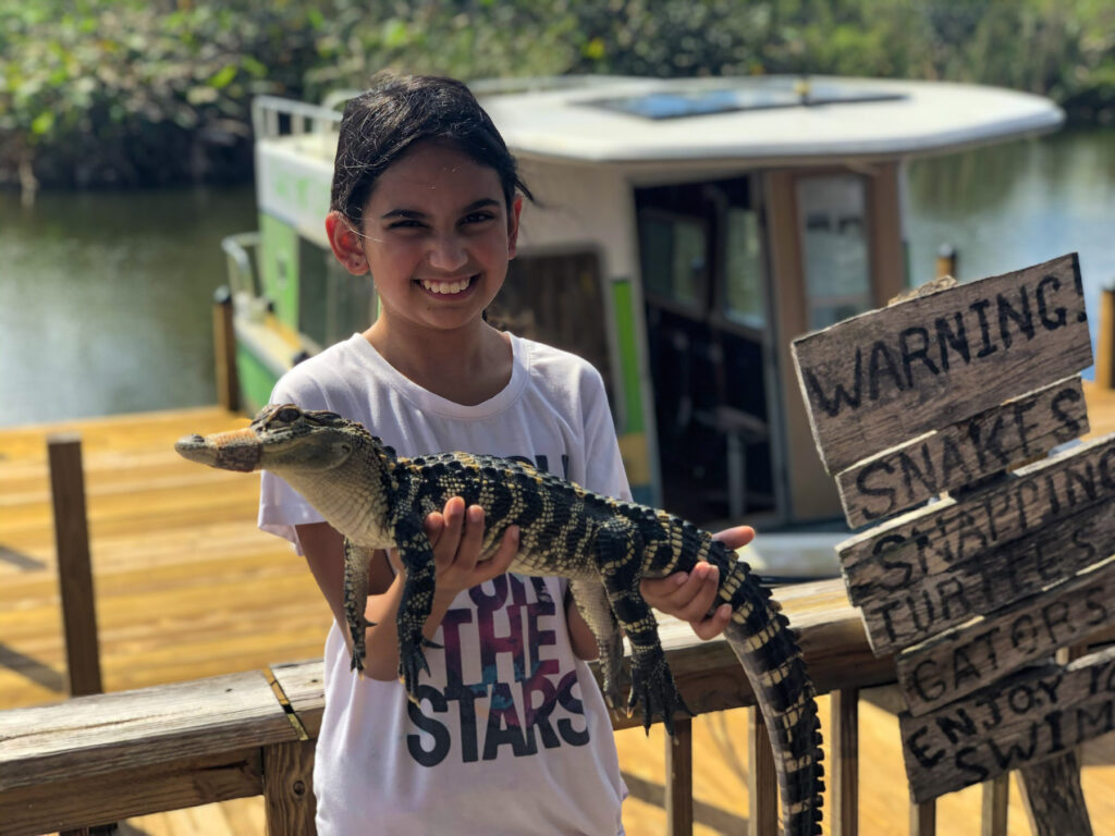 Miss M holding a baby alligator with Captain Bob's Excellent day safaris in Fort Myers, Florida.