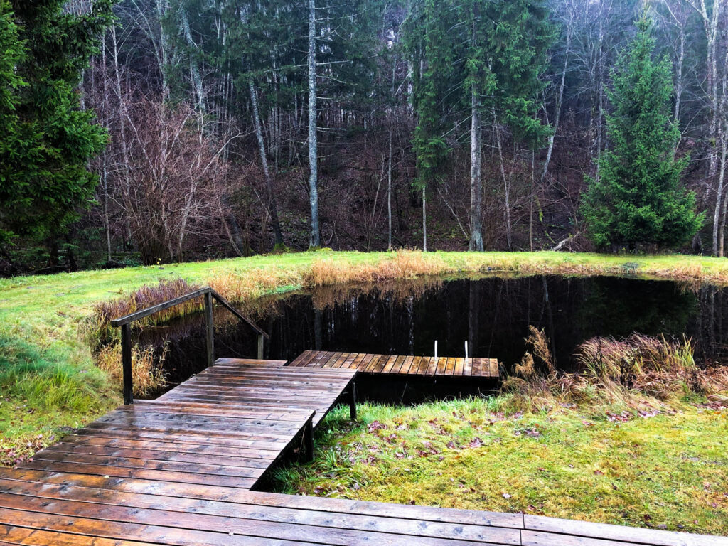 The cold pond at the Latvia sauna.