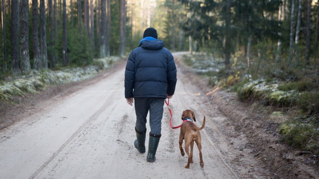 Man wearing rainboots hiking with his dog on a leash
