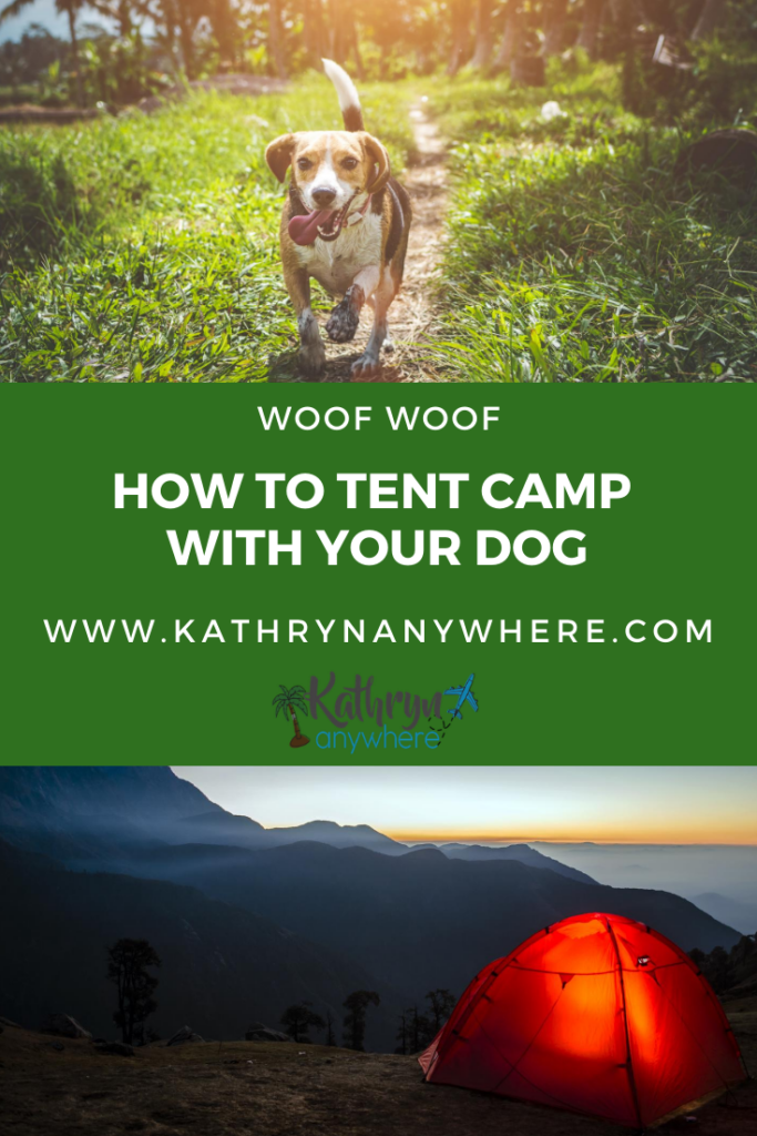 How To Camp With A Dog - You’re going to have to accept that you have less freedom and if you have camped with toddlers, you will basically understand. Food, sleep, water, it's all covered here