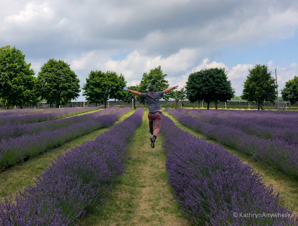 Bonnieheath Lavender and winery, Kevin Wagar dancing through the lavender fields