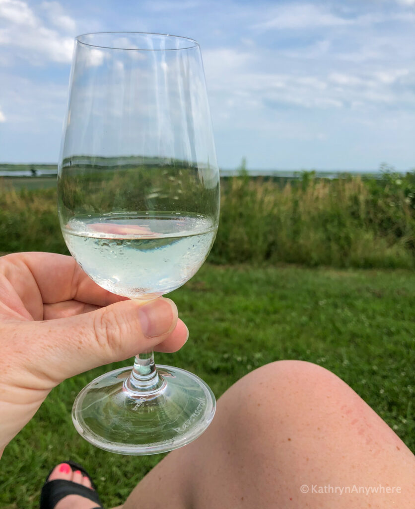 Admiring the view with my glass of wine at Inasphere Winery in Norfolk County