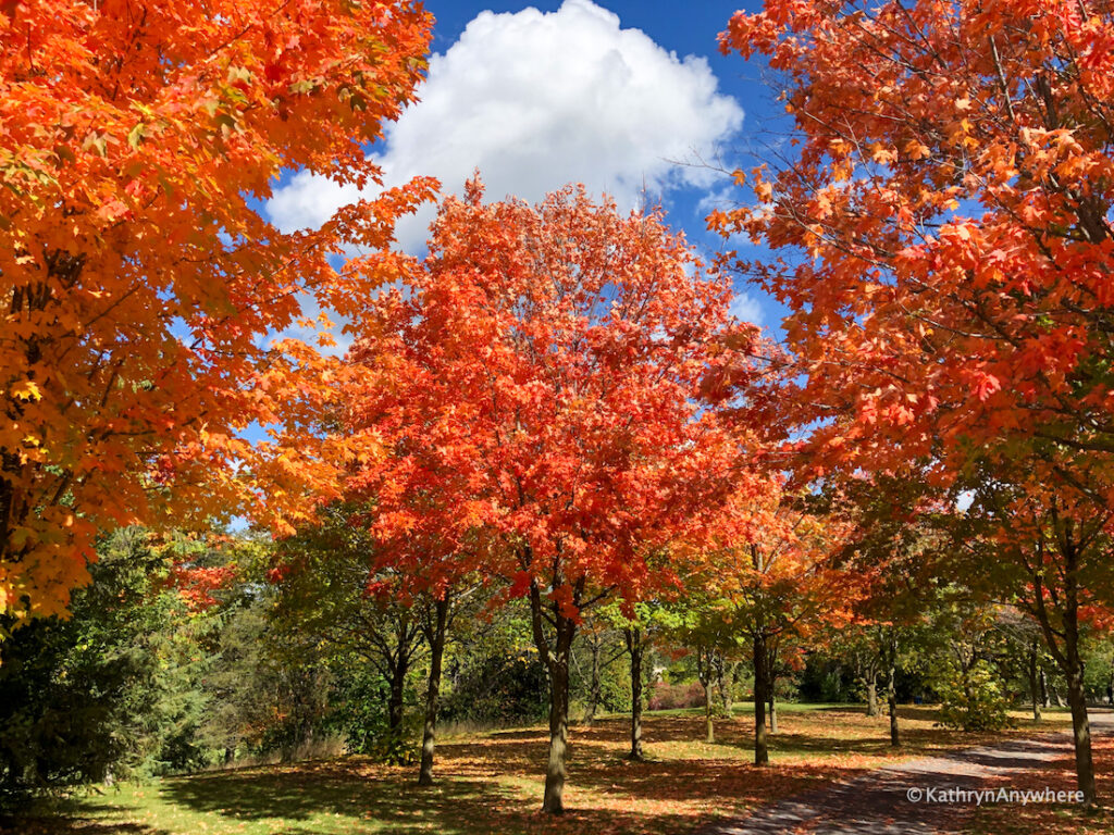 Belleville Bay of Quinte autumn hues at the Bayshore Trail