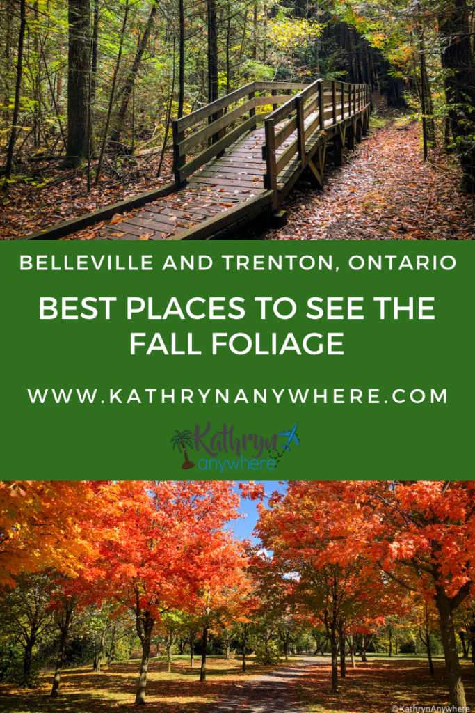 Where to find the fall colours in Belleville and Trenton and surrounding area. The most beautiful autumn hues in the Bay of Quinte Region.