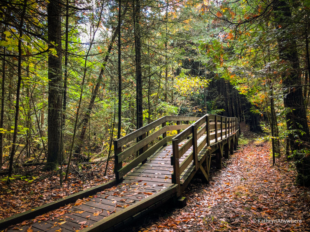 HR Frink Centre hiking trails to see the best fall colours around Belleville and Trenton, Ontario