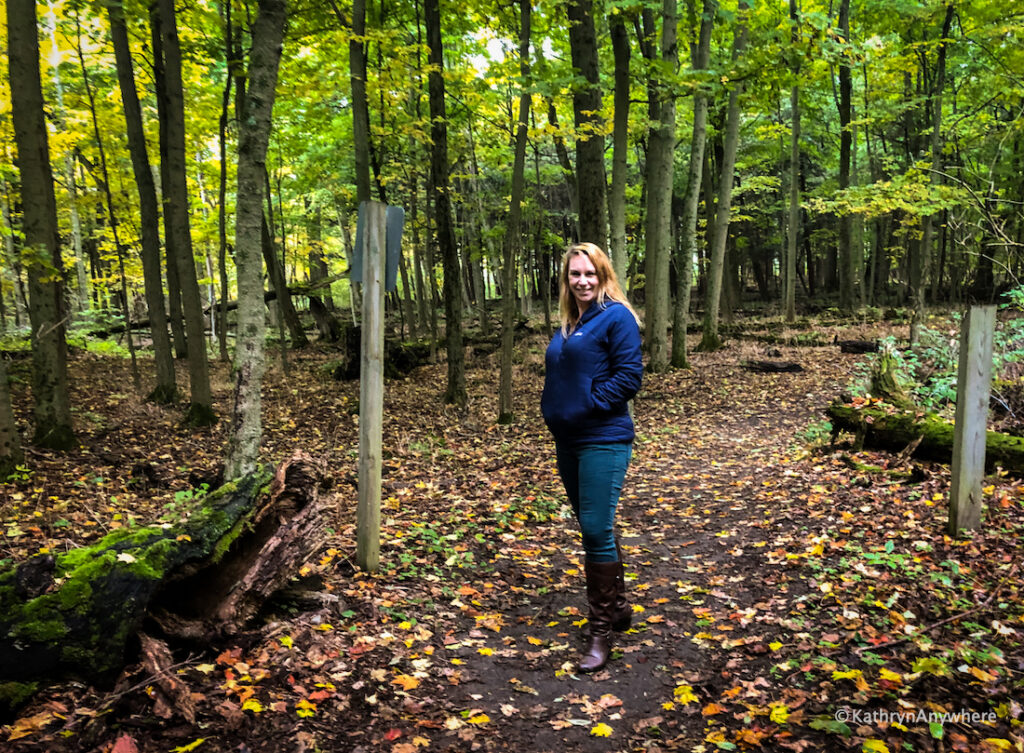 Presqu'ile Provincial Park in fall on the Jobes Woods Trail