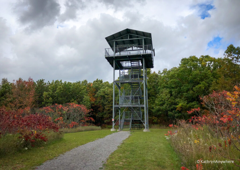 Sager Conservation Area TOWER - one of the best places to see fall colours in Belleville and Trenton area