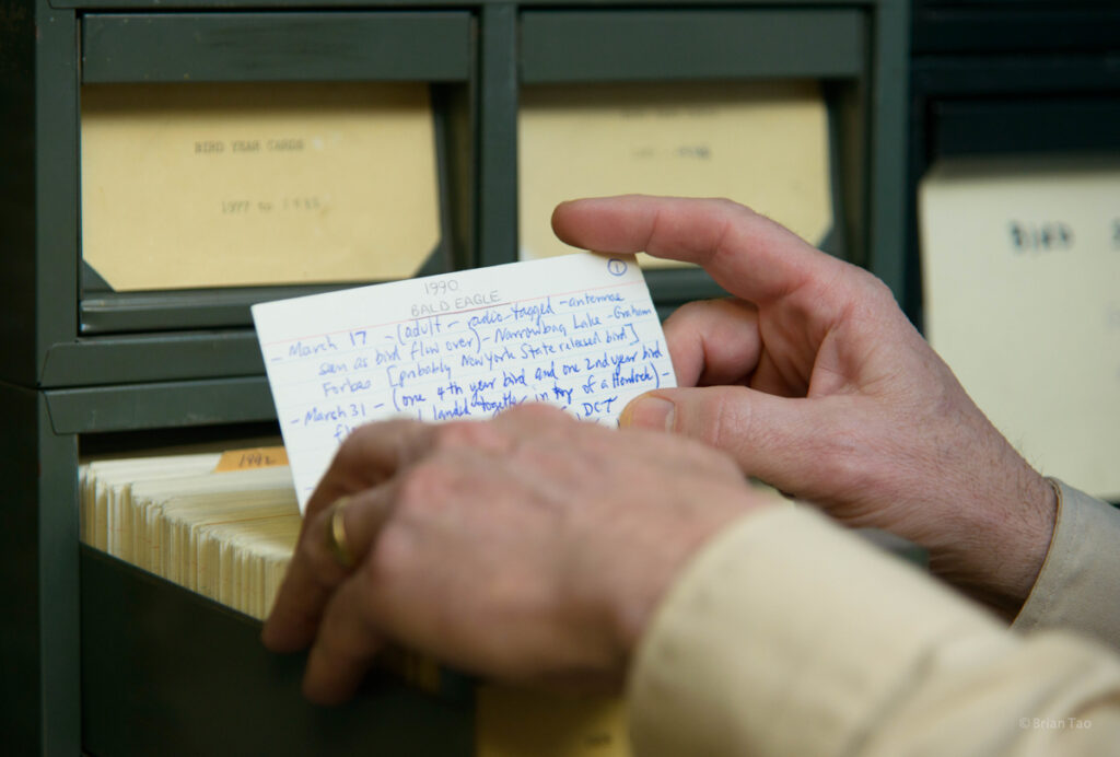 Algonquin Provincial Park visitors centre bald eagle reports circa 1990