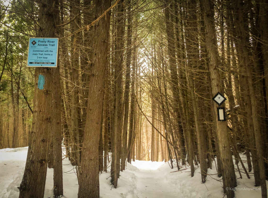 Pretty River Valley Provincial Park on Bruce trail showcasing main and side trail markers
